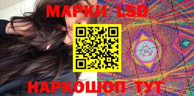 гидропоника Можга