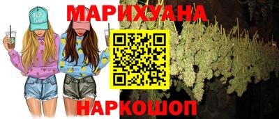 гидропоника Можга