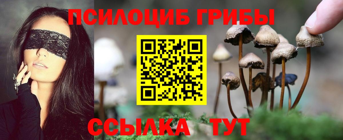 Сегежа  Псилоцибиновые грибы мухоморы  Вход с VPN  Галлюциногенные грибы ЛСД 
